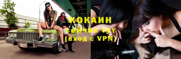 дмт Белокуриха