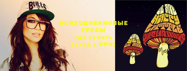 амф Кущёвская