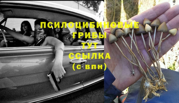 дмт Белокуриха