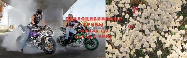 твердый Александровское
