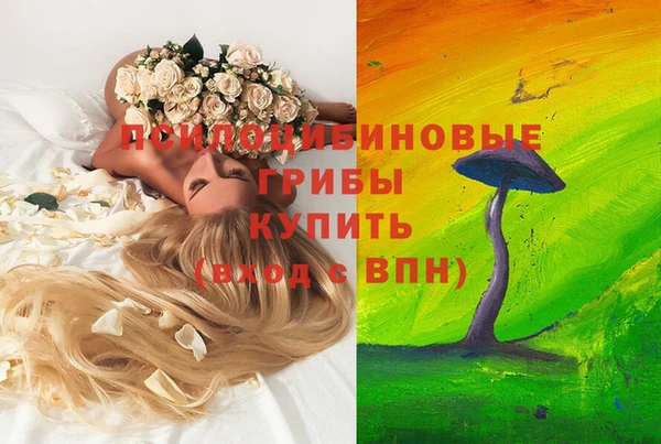 амф Кущёвская